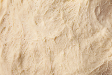 Texture of fresh dough, closeup