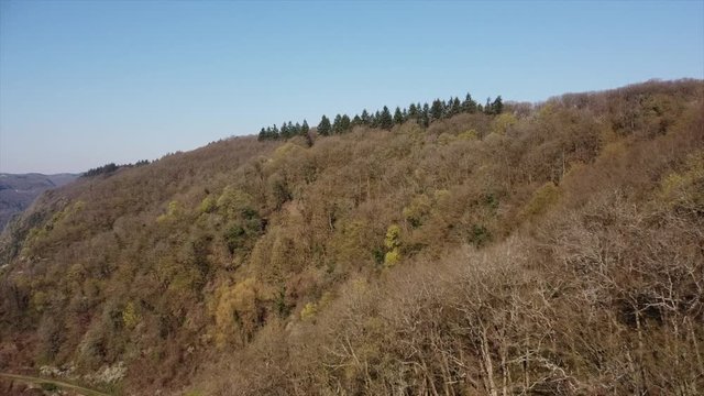 Moseltal bei Valwig, Weinberge, Wald, Brachen, Beobachtungsgebiet Apolloweg
