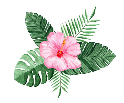 watercolor pink hibiscus and green tropical leaves composition isolated on white background