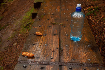 Still mineral water bottle standing on a wooden walk path in a forest park, pine cones, concept...