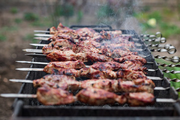 Grilled kebab on the grill, outdoors