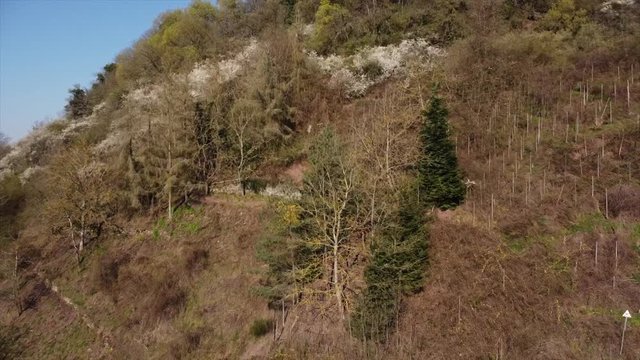 Moseltal bei Valwig, Weinberge, Wald, Brachen, Beobachtungsgebiet Apolloweg