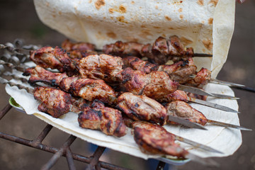Cooked kebab on skewers lying on a plate with pita bread, outdoors