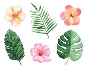 watercolor tropical leaves and flowers set isolated on white background. Color plumeria,pink hibiscus and monstera plants - obrazy, fototapety, plakaty