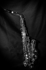 Obraz premium アルトサックス