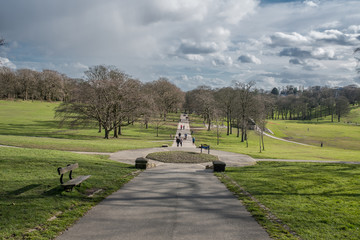 Path in the Roundhay Park, Leeds