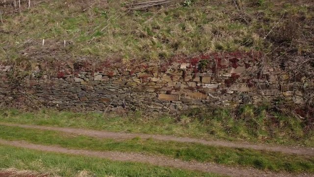 Moseltal bei Valwig, Weinberge, Wald, Brachen, Beobachtungsgebiet Apolloweg