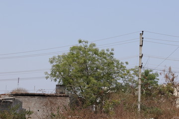 Blue sky background with clouds