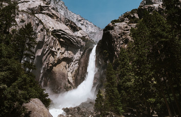 Forests of Yosemite National Park