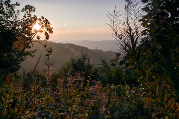 Wunderschöner Ausblick auf den Schwarzwald bei Sonnenaufgang; Baden-Württemberg, Deutschland