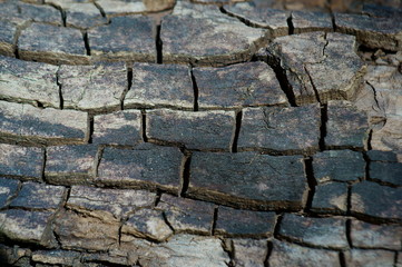 stone wall texture