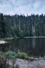 Wilder See und Bannwald im Naturschutzgebiet Hornisgrinde; Baiersbronn, Baden Württemberg, Deutschland