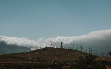 Wind turbines at Palm Springs