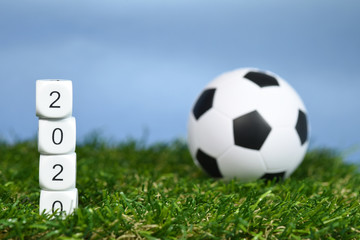 Obraz premium environnement planète vert terre climat 2020 sport football