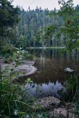 Wilder See und Bannwald im Naturschutzgebiet Hornisgrinde; Baiersbronn, Baden Württemberg, Deutschland