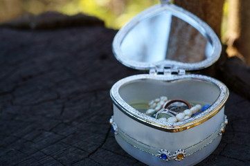 Open jewelry box close-up.
