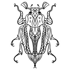 Beetle ornamented insects in vector. Coloring book anti stress isolated on white background for relaxing