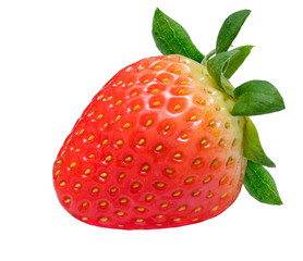 Red berry strawberry isolated on white background, Fresh Korean strawberry isolated on white (With clipping path)