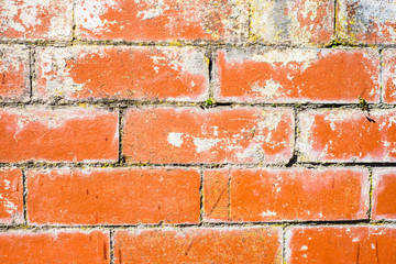 Obraz premium old red brick wall on a sunny spring day UK