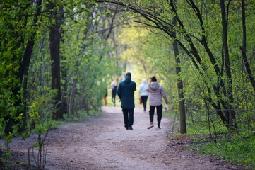 Fototapeta premium couple walking in the park