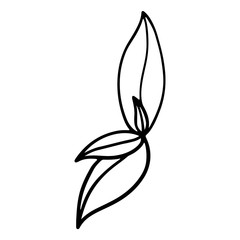 Basil leaves outline doodle digital art. Print for cards, banners, posters, menus, restaurants, cuisine, fabrics, stickers, children's and adult coloring.