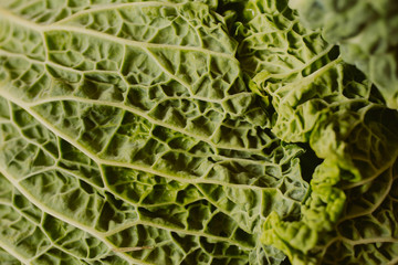 Raw fresh green cabbage texture and background. Close up view with selective focus.