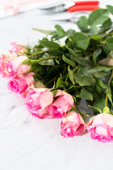 Pink roses