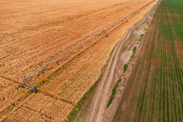 Aerial view of irrigation sprinkler in wheat field