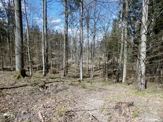 KODAK Digital Still Camera © Dawid