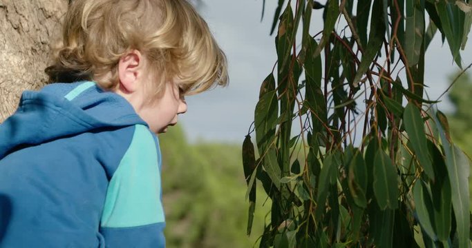 A child sits with gum leaves