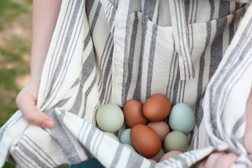 Close up of a woman's hands, holding organic colorful eggs in her apron. Selective focus with...