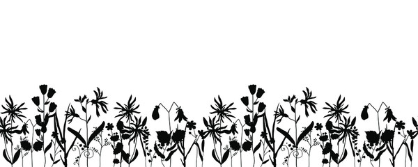 Seamless vector horizontal border of contour black plants. Wildflowers and herbs are hand drawn in ink. Stock illustration isolated on white background. Design for template, label.