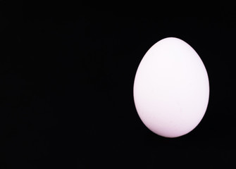
One white chicken egg isolated on black background. Copy space.