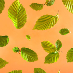 Fresh spring texture leaves of different sizes in flight on a bright background. The concept of spring flowering and renewal.