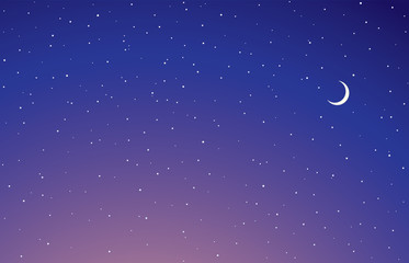 Obraz na płótnie Canvas Stars in the night sky. Vector drawing