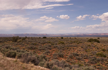 Californien Roadtrip III