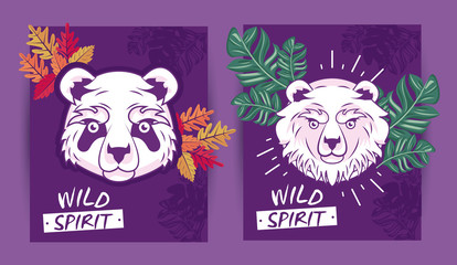 wild bears spirit creative design