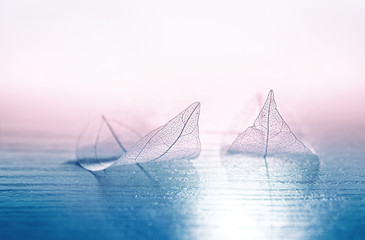 Two ransparent skeleton leaves in form of ships at sea in a fog on blue and pink background....