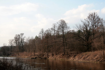 Obraz premium beautiful forest and beautiful forest paths
