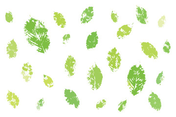 Hornbeam leaves life prints in fresh spring green colors. Basis graphics