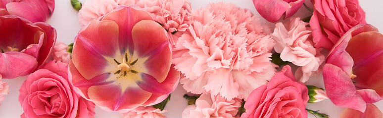 Fototapeta na wymiar top view of pink spring flowers on white background, panoramic shot