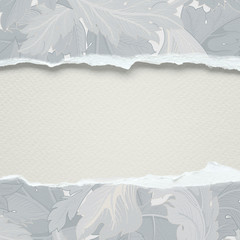 Ripped paper banner