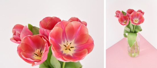 collage of spring tulips in vase on pink and white background