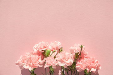 Fototapeta na wymiar top view of blooming carnations on pink background