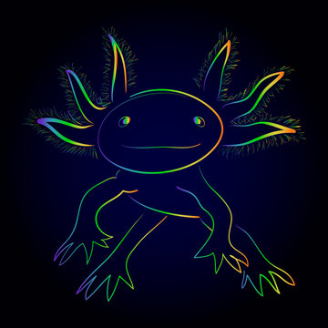 643 Best Axolotl Vector Images Stock Photos Vectors Adobe Stock