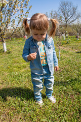 A little girl with tails in denim clothes in a flowering garden, sakura. trees blossom. spring