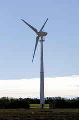 Upright image of a single wind turbine on farmland against a blue sky