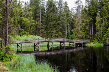 étang de la Gruère, la gruère, Moorsee, See, Weiher, Moor, Hochmoor, Wanderweg, Holzbrücke,...