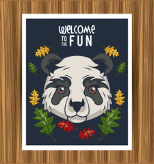 wild bear panda spirit creative design