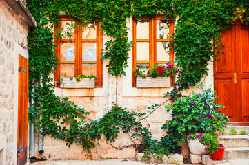 Fasade of the old stone house with green decorative plants. Beautiful architecture in Kotor, Montenegro